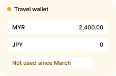 Example travel wallet not used since March