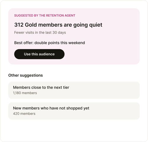 Example audience suggested by the retention agent