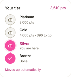 Example tier ladder from Bronze to Platinum
